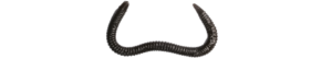 Vinilos LureMax GARDEN WORM