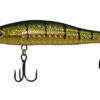JetMinnow_014.png