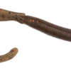 Lombriza-копия.png