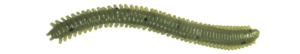 Vinilos LureMax RAG WORM