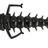Stone-Fly_006.png
