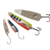 hoyt-top.png