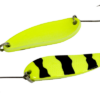 konga-25.png